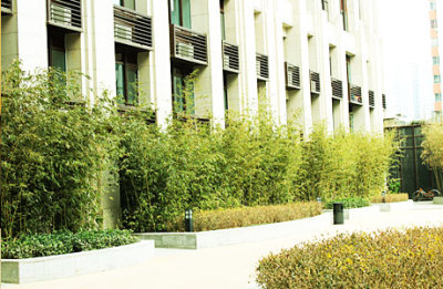 雅然培训 - 北京团购网|京东团购