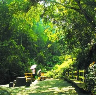 宝中旅行社牛姆林一日游 - 泉州团购网|京东团购
