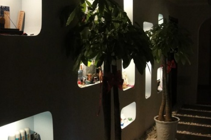 太原小店区丽璟美容院 团购 - 京东团购太原站