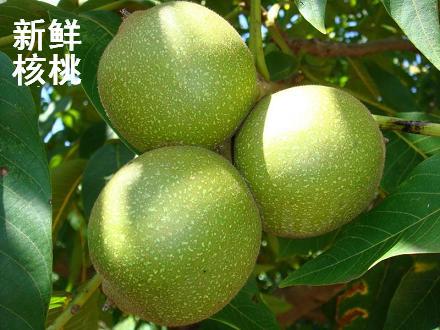 全国【预售-带皮青核桃】仅49.5元团购原价12