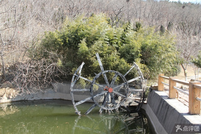 青岛石老人观光园 团购 - 京东团购德州站