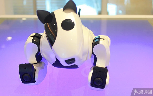 佛山萝卜库机器人体验中心 团购 - 京东团购佛