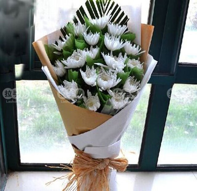 伊甸园15只菊花1束 团购 - 京东团购大庆站