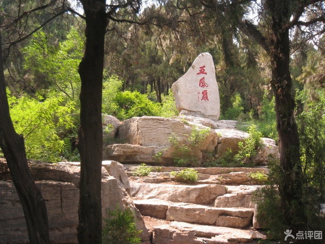 泰安东平湖腊山国家森林公园 团购 - 京东团购