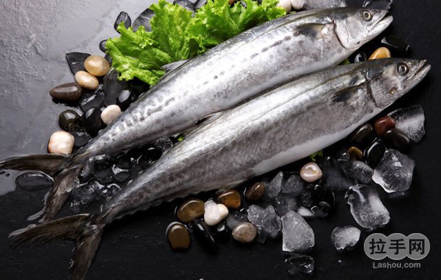 鱼农庄竹霸鱼生3-4