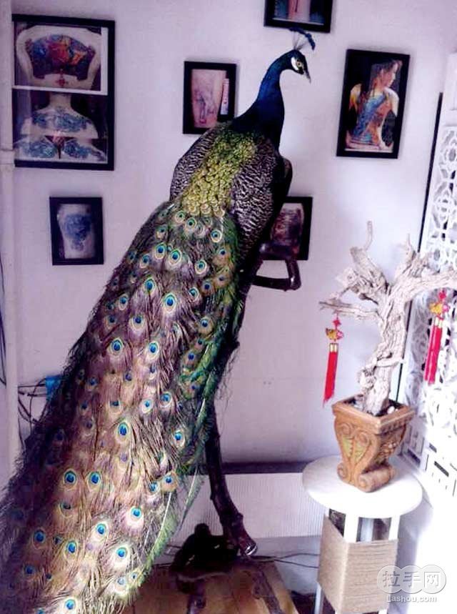 雕魔窟纹身现金抵用1 团购