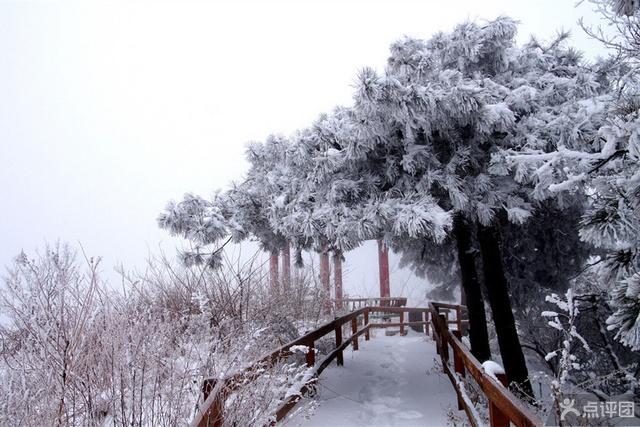 三门峡韶山峡景区 团购 - 京东团购德州站