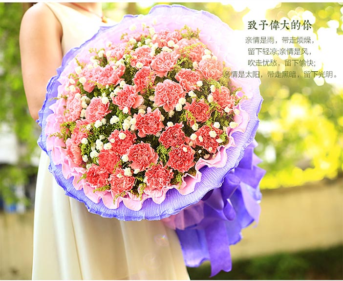 33朵粉康乃馨花束 团购 - 京东团购全国站