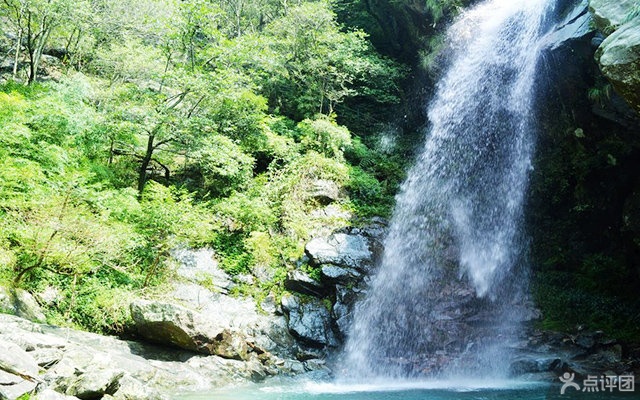 宜春靖安九岭森林温泉度假村温泉门票 团购 - 