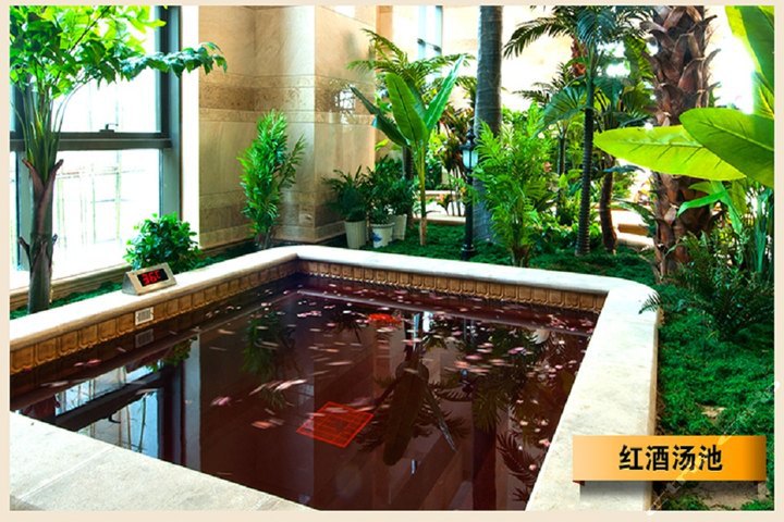 大丰半岛温泉酒店高级田园 团购 - 京东团购盐