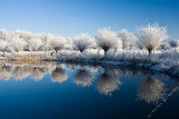 巢湖碧桂园凤凰酒店 团购 - 京东团购合肥站
