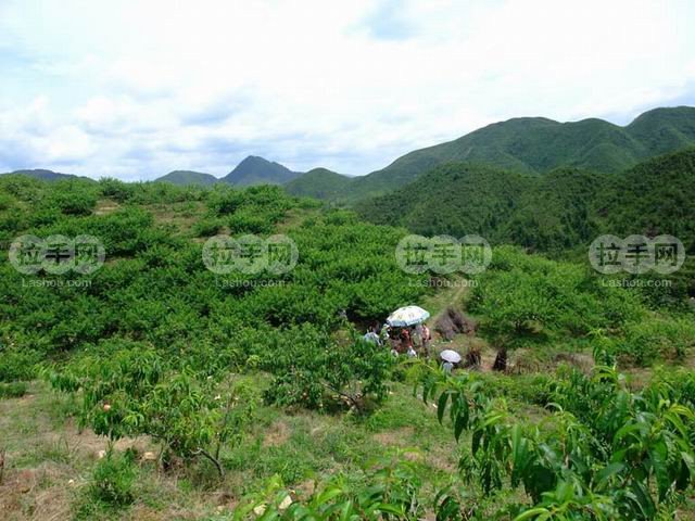 巅峰真人CS29元 团购 - 京东团购青岛站