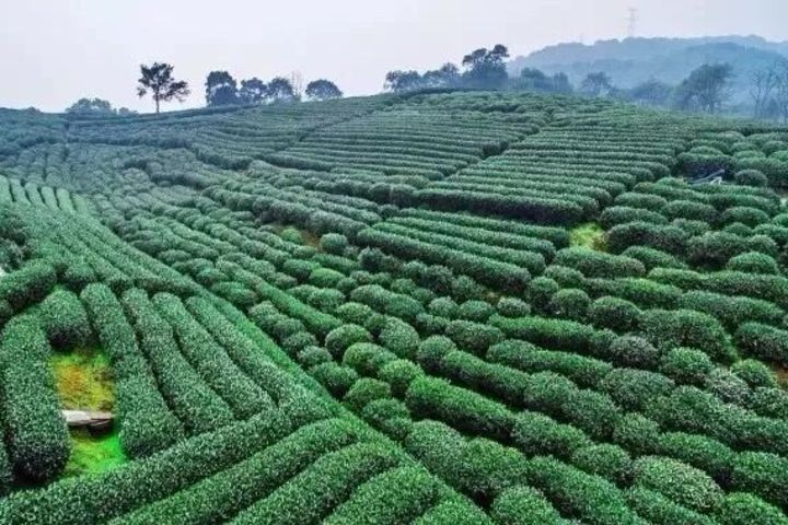 杭州西山大斗谷民宿 团购 - 京东团购杭州站