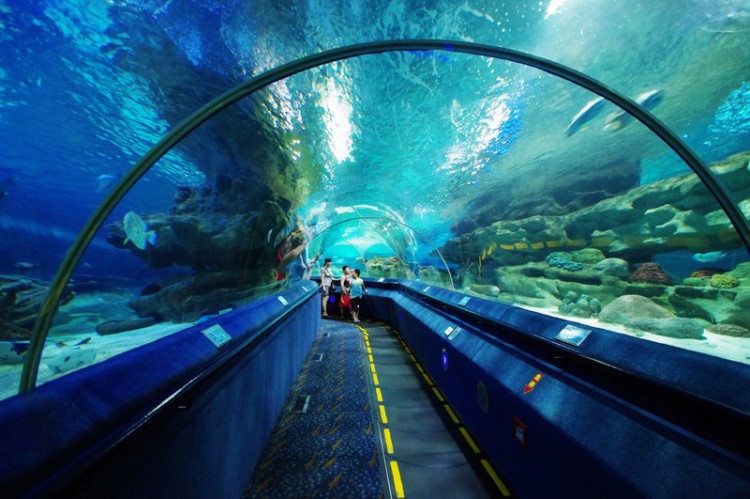 富国海底世界成人票 团购