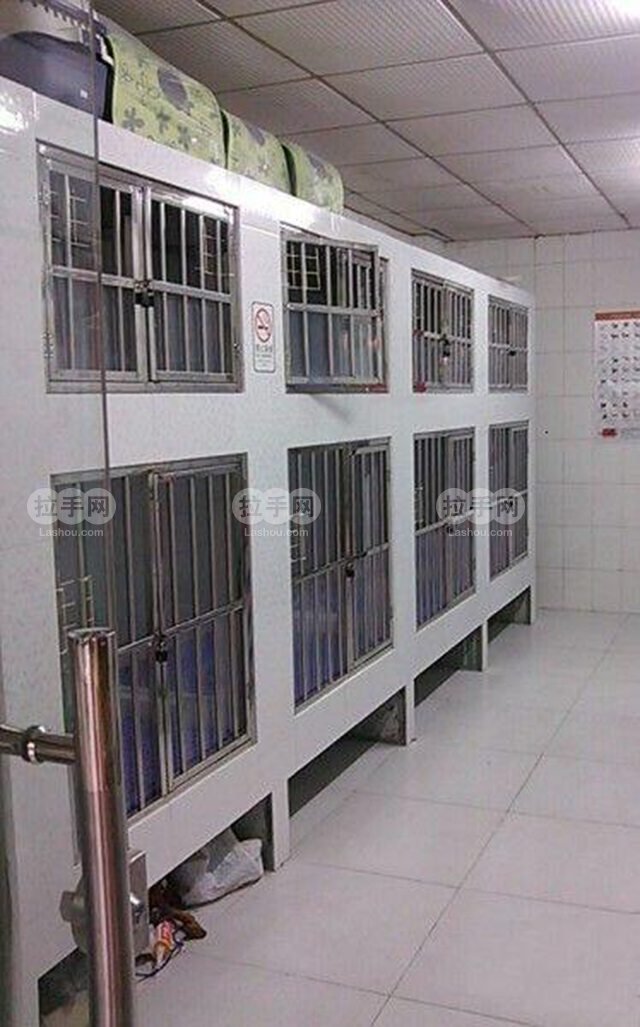 咪旺星人狗狗沐浴套组 - 京品惠广州站