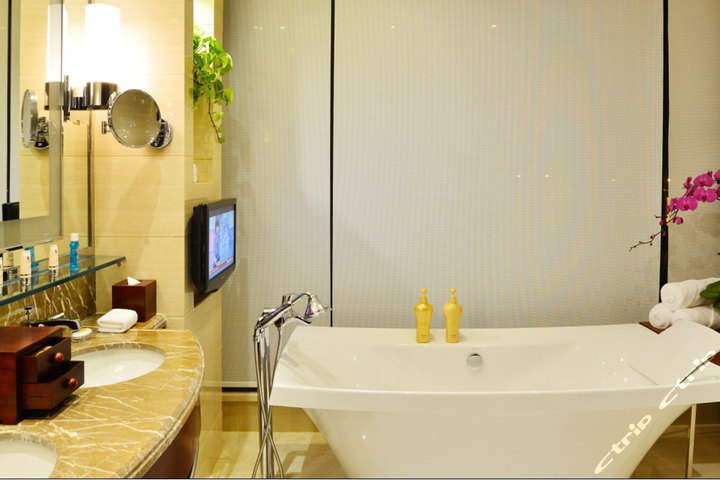 大丰半岛温泉酒店-行政湖 团购 - 京东团购大丰