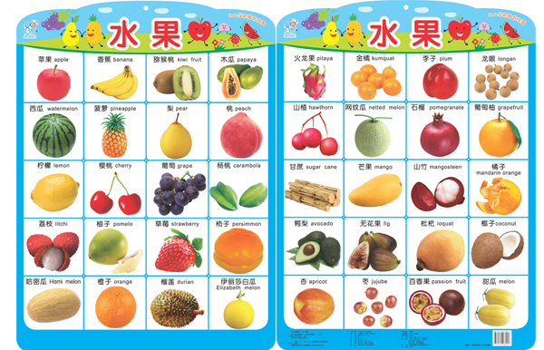 《幼儿学前教育挂图大全(套装全22张)(权威升