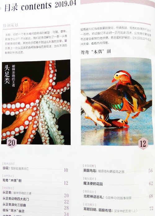 博物2019