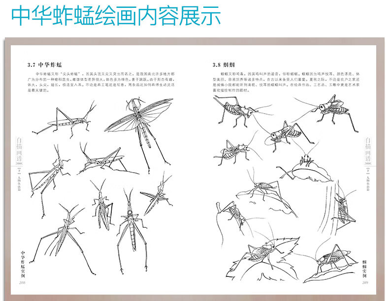 白描画谱5000例下篇人物鱼虫线描绘图谱工笔临摹初学者技法入门到精通