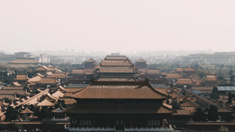 2.gif