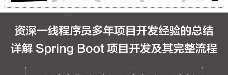 Spring-Boot企业级项目开发实战大拉页(京东)-1_06.png