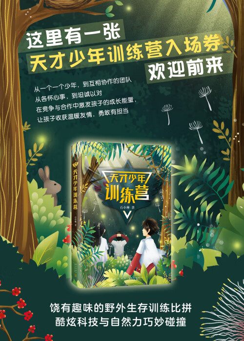 天才少年