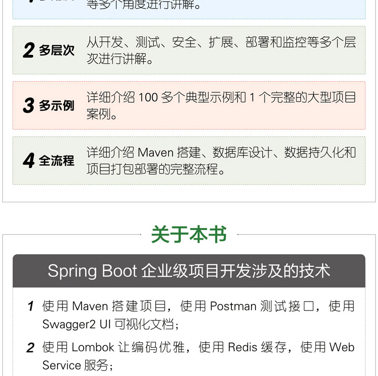 Spring-Boot企业级项目开发实战大拉页(京东)-1_09.png