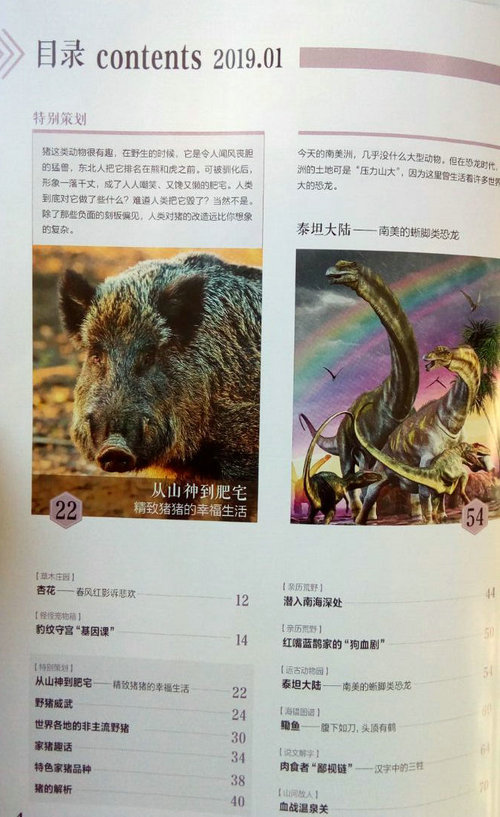 博物2019