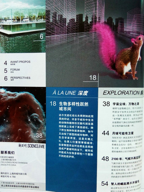 新發(fā)現(xiàn)2019