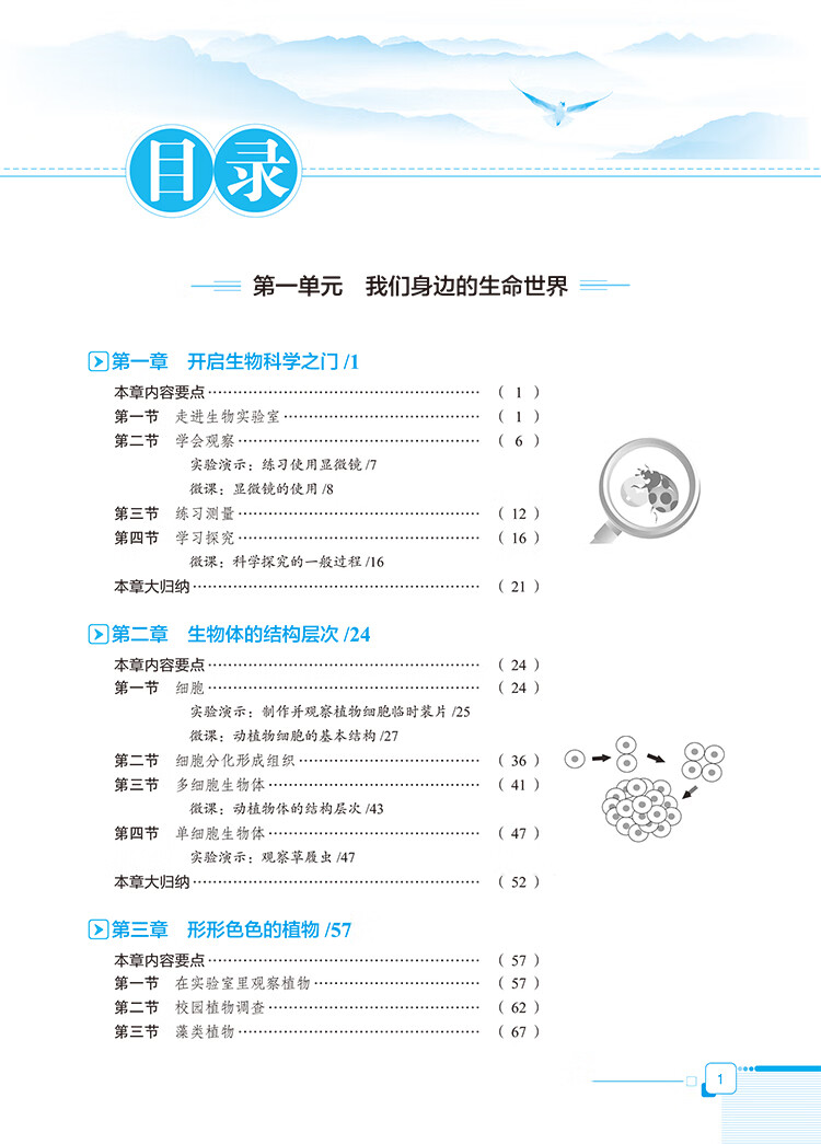 中學全解