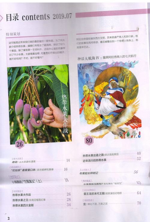 2019年7月
