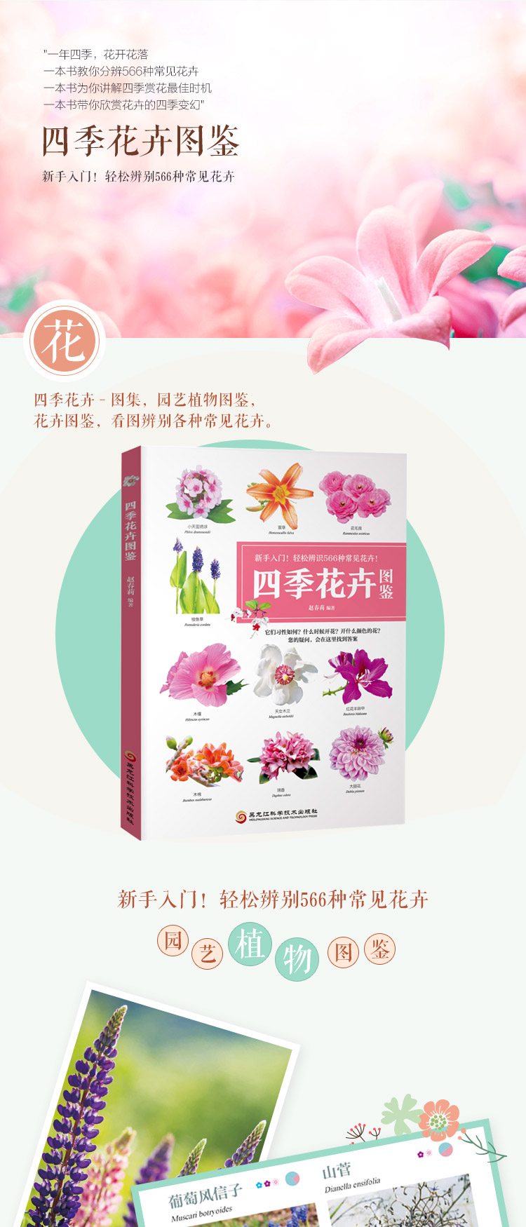 四季花卉
