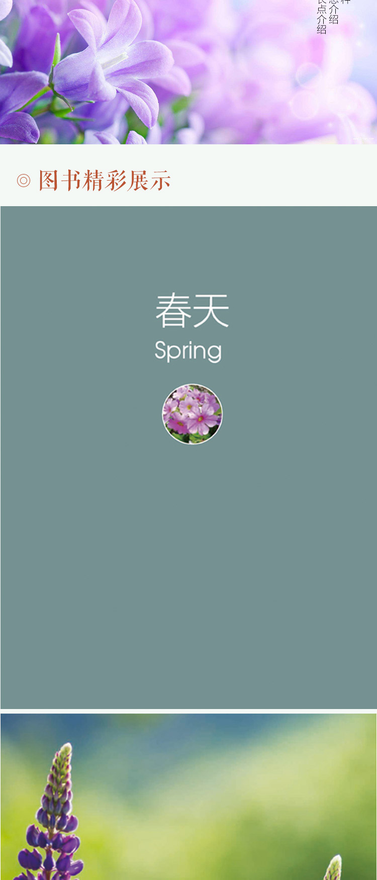 四季花卉