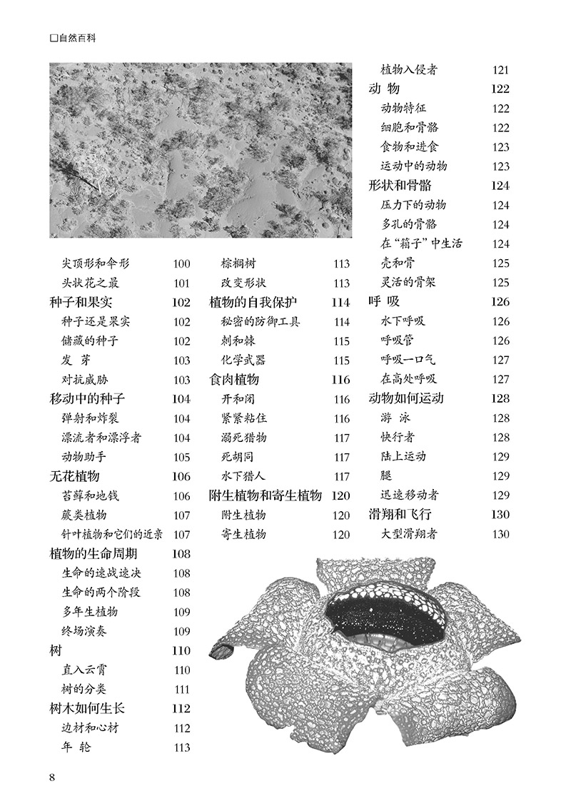 自然百科_頁面_06.jpg