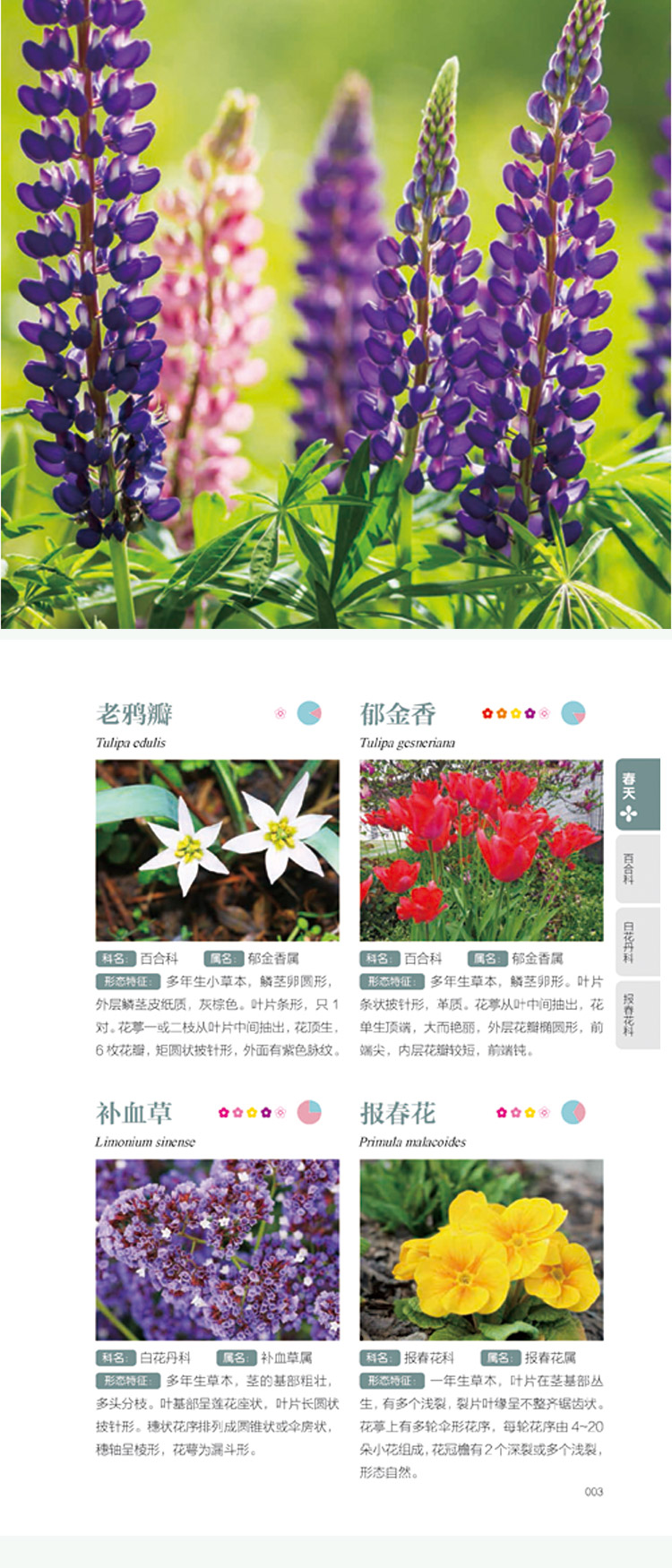 四季花卉