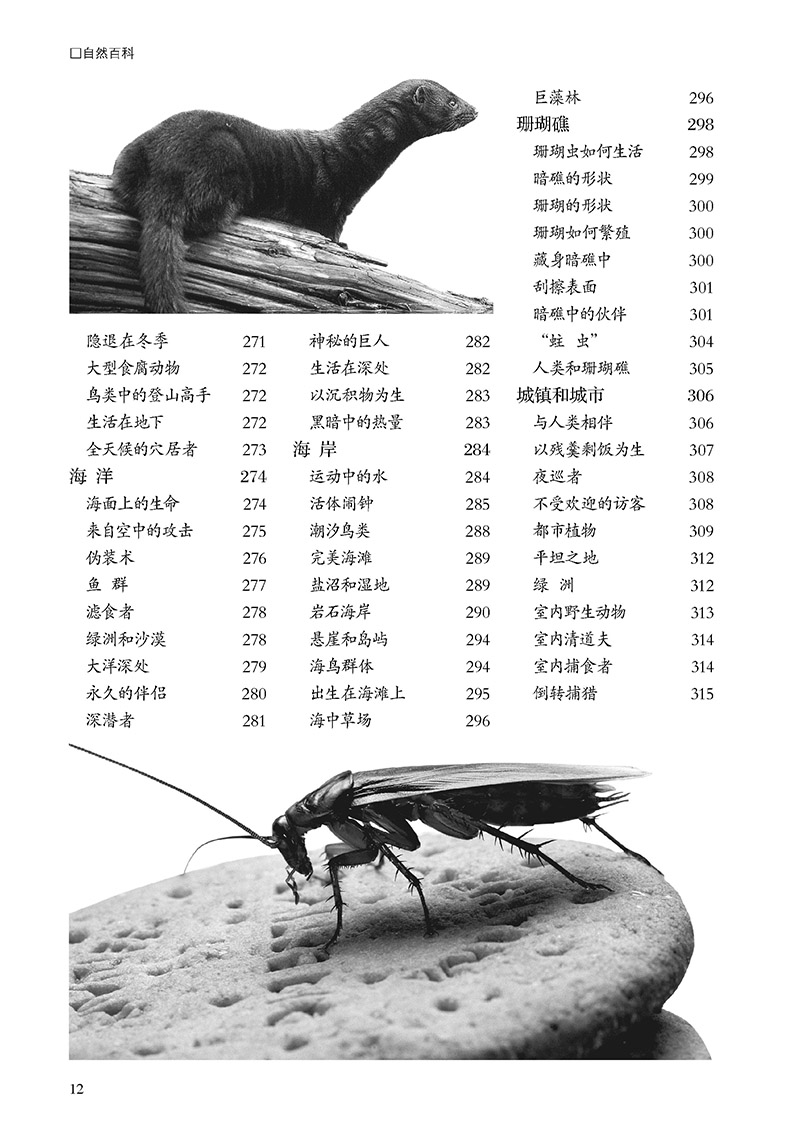 自然百科_頁面_10.jpg