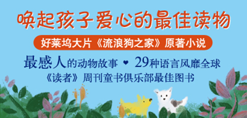 流浪狗之家