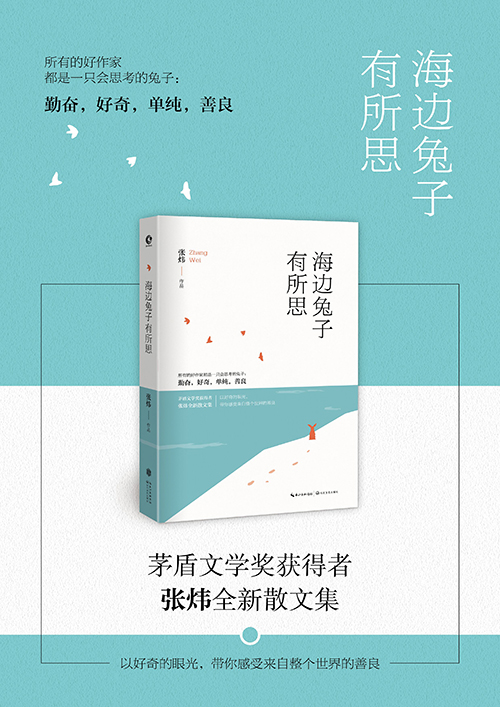 海邊兔子有所思