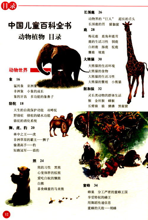 兒童植物