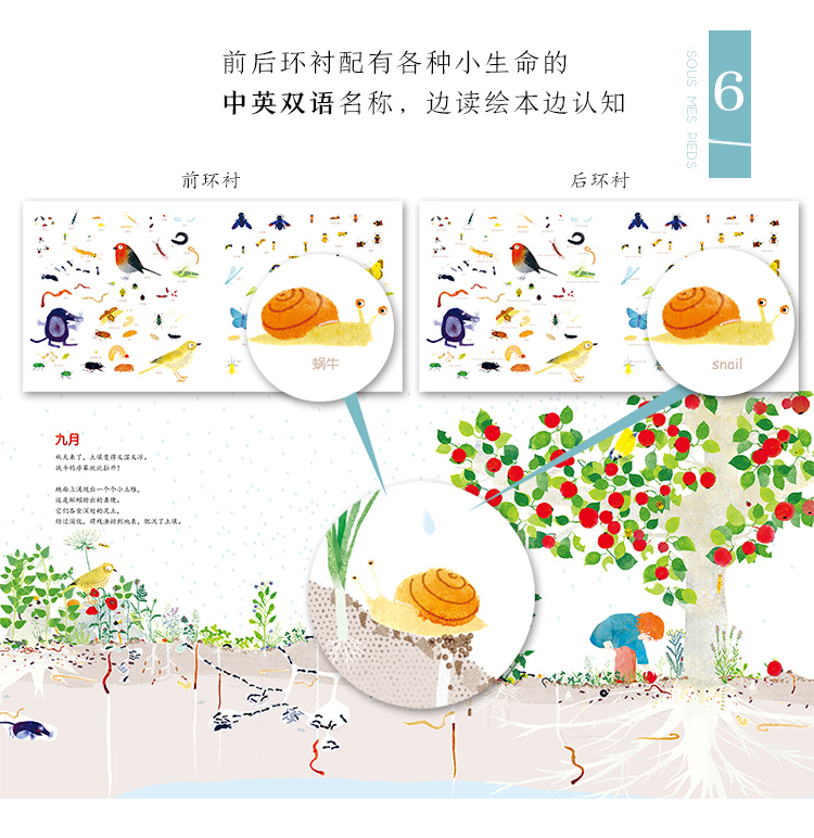 童书 绘本 在我脚下--土壤中的生命