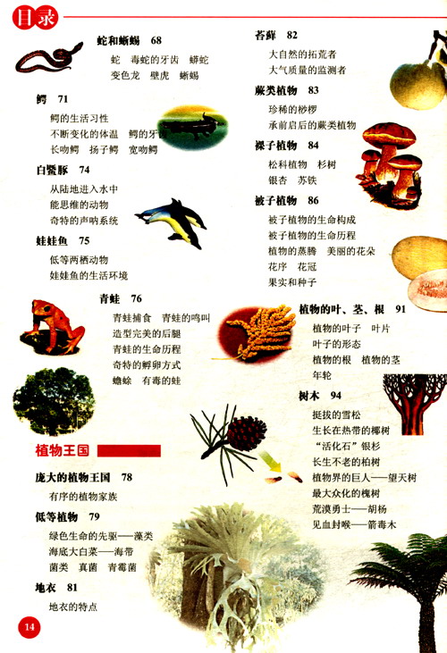 兒童植物