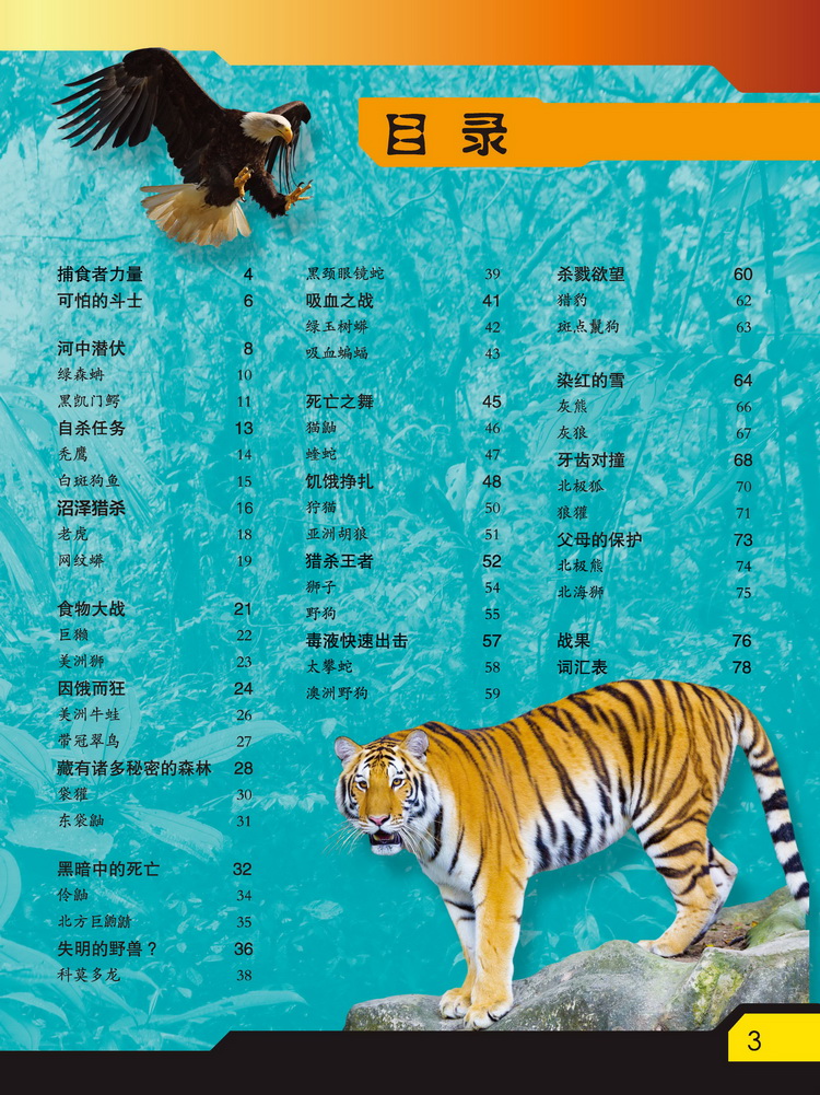 不可思議