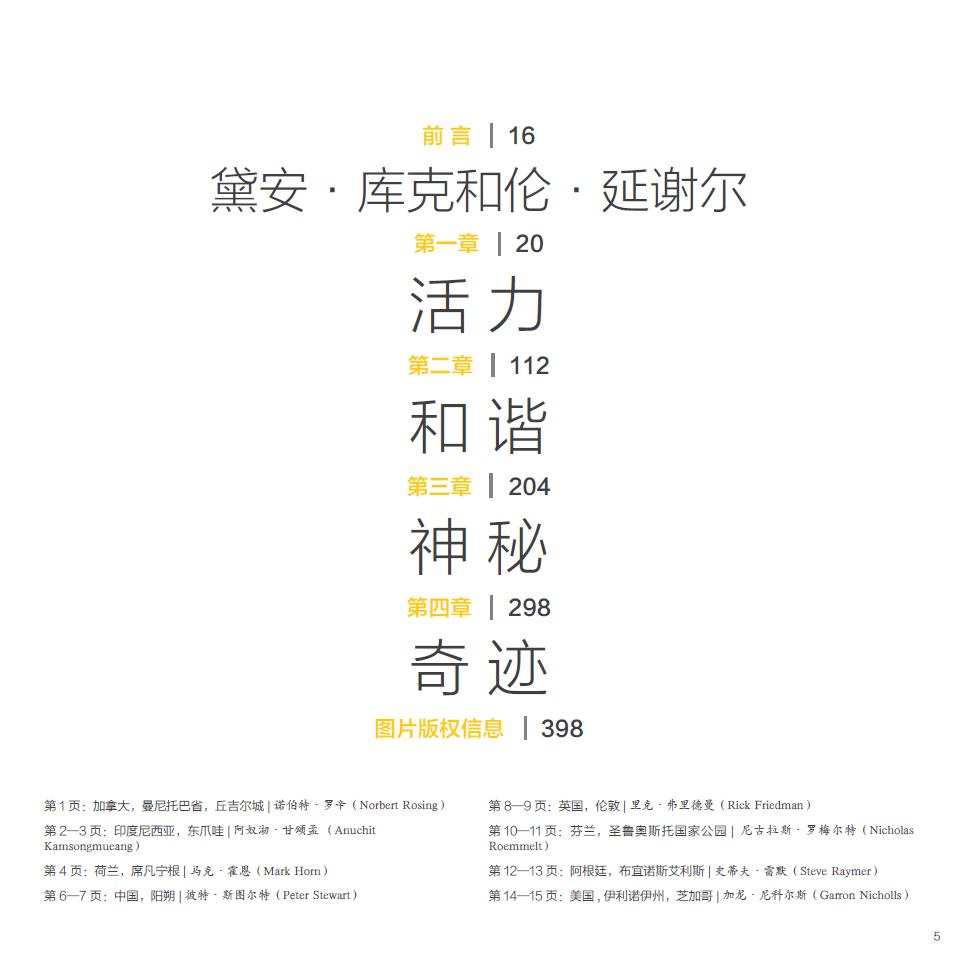 夜幕下的傳奇