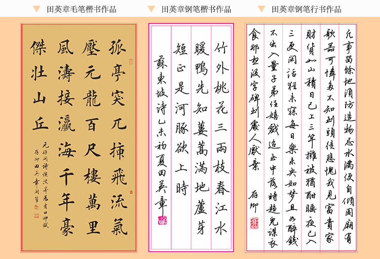 华夏万卷·田英章硬笔书法行书钢笔字帖:教程 常用字 诗词 名句(套装