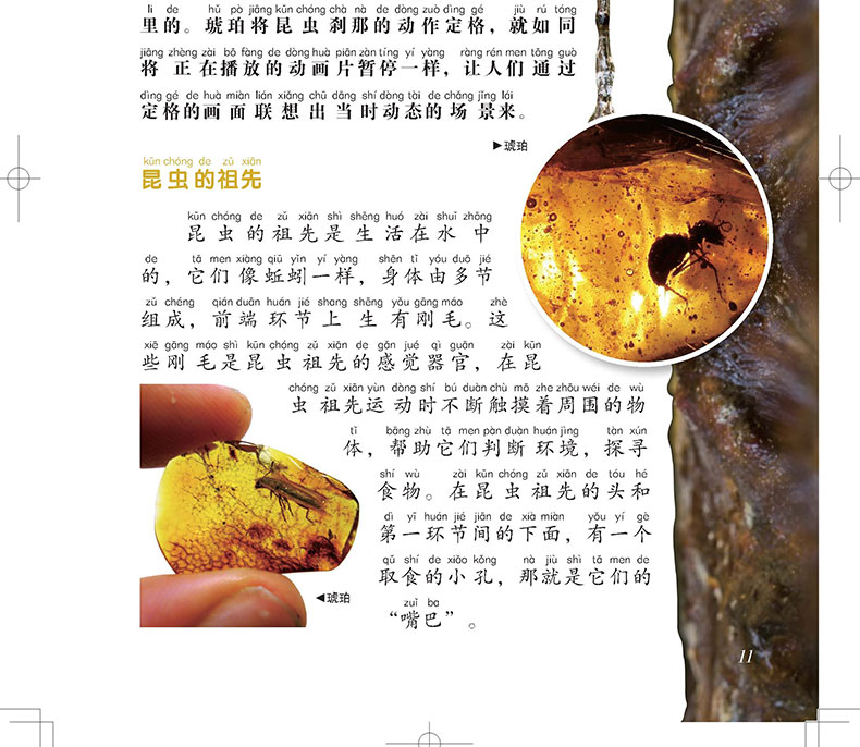 書摘