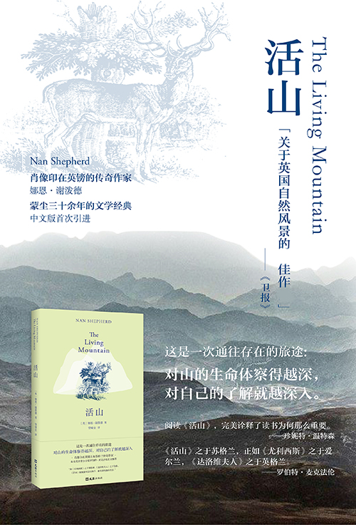 書評