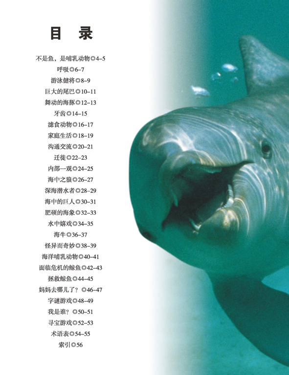 鯨魚與海豚