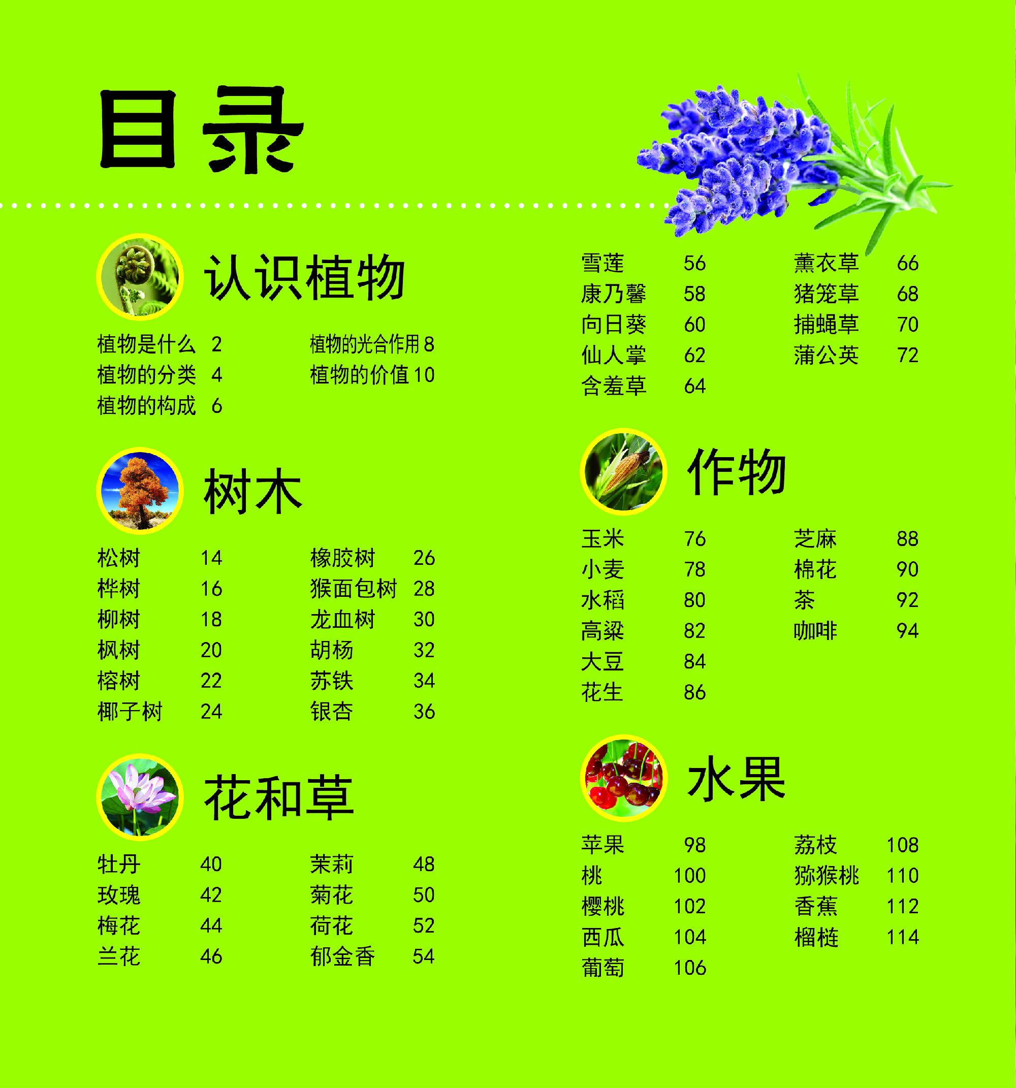 植物大百科