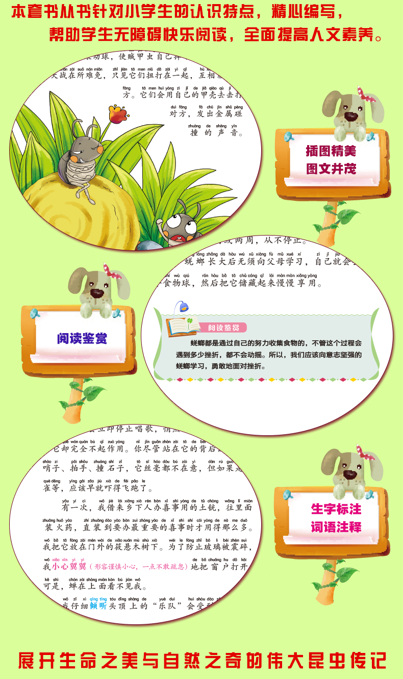 傳記