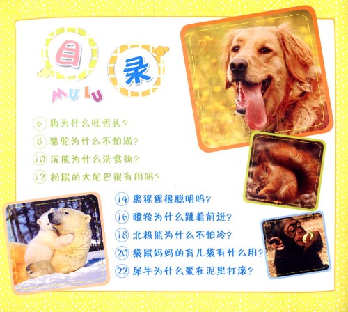 哺乳動(dòng)物